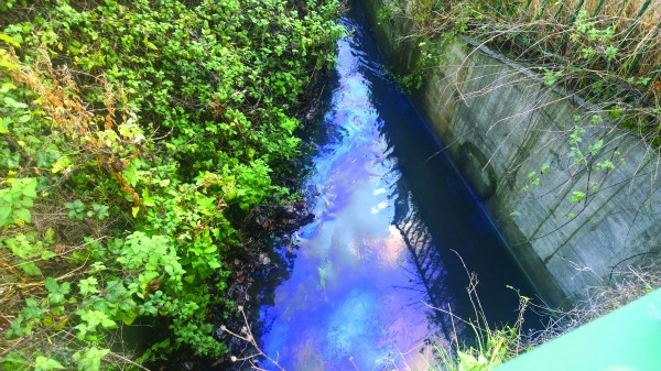 Poddle pollution concerns after oil spillage into river