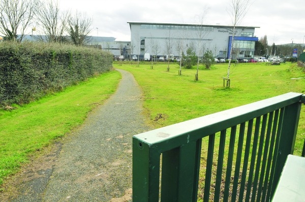 Gardaí interrogate teen after attack on woman