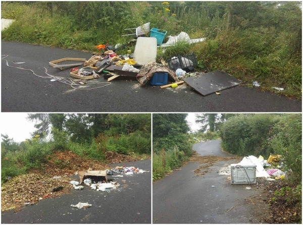 Residents appeal for council to halt illegal dumping in lane ‘hotspot’