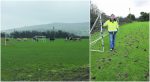 Local club have beef with rogue cows after they moo-ve in and destroy pitch
