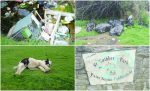 Severe dumping and neglect continues in St Cuthberts Park