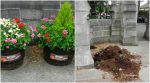 Clondalkin Tidy Towns slams vandalism of flower pots ahead of Clondalkin Festival