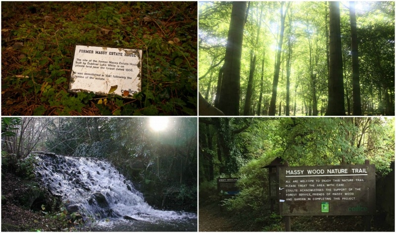 There’s a FREE heritage walk in Massy’s woods taking place tomorrow morning There’s a FREE heritage walk in Massy’s woods taking place tomorrow morning