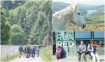 Legend of Tír na nÓg brought to life