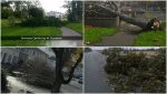 Locals without power as Ophelia pulls down trees in Tallaght, Clondalkin and Walkinstown