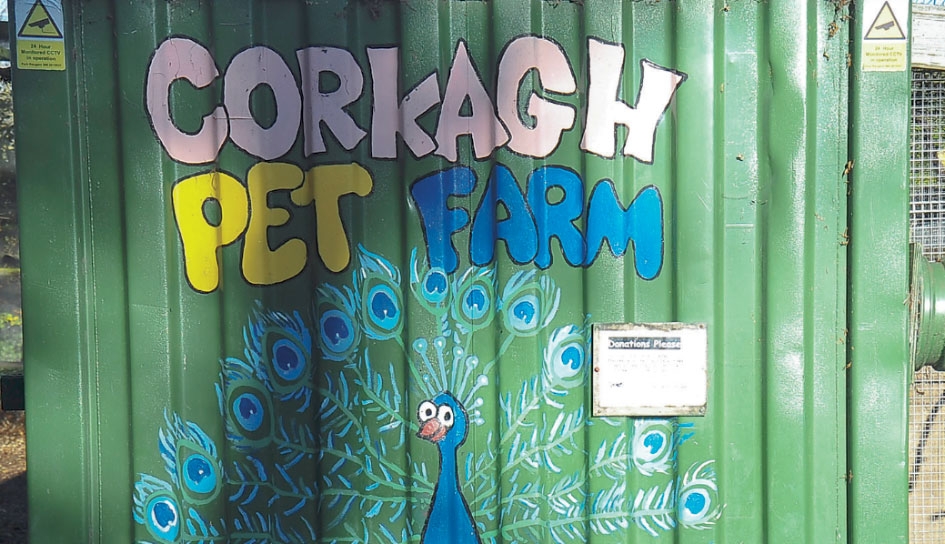 Vandals make pigs of themselves at Corkagh Park pet farm