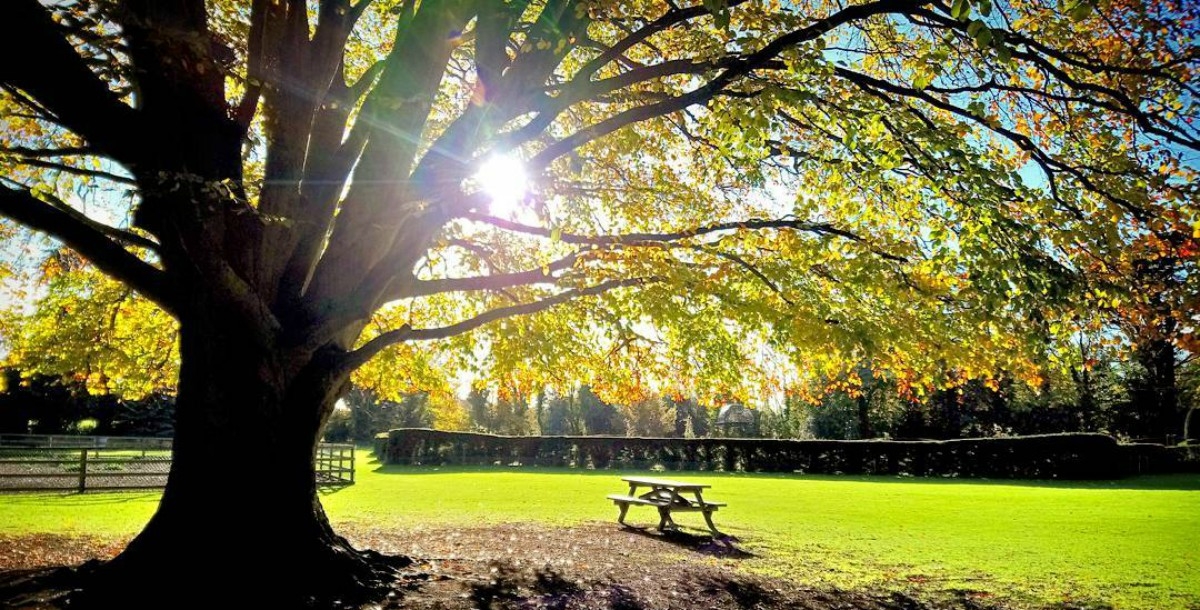 Five autumn photos that will make you fall in love with Corkagh Park