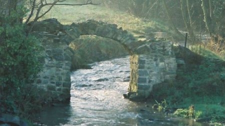 Getting to the root of problems in restoring King John’s Bridge