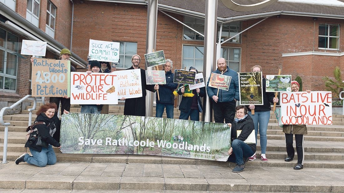 Over 650 schoolchildren petition to save Rathcoole Woodlands