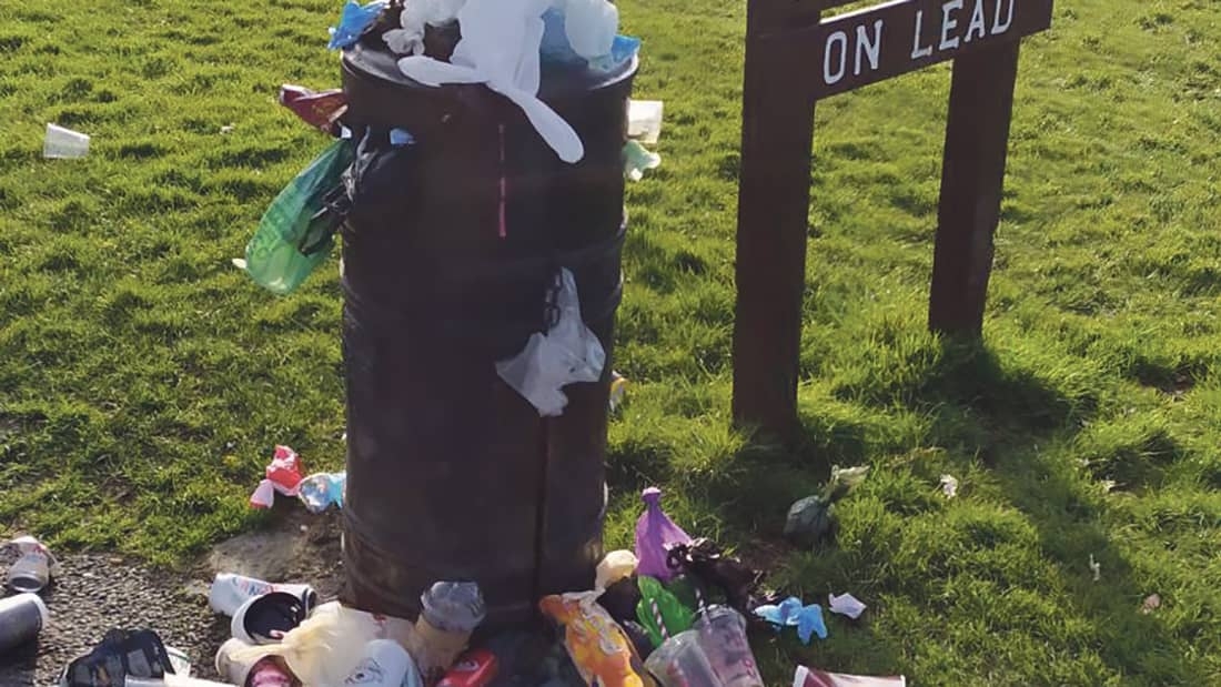 Why are overflowing bins in park not being emptied?