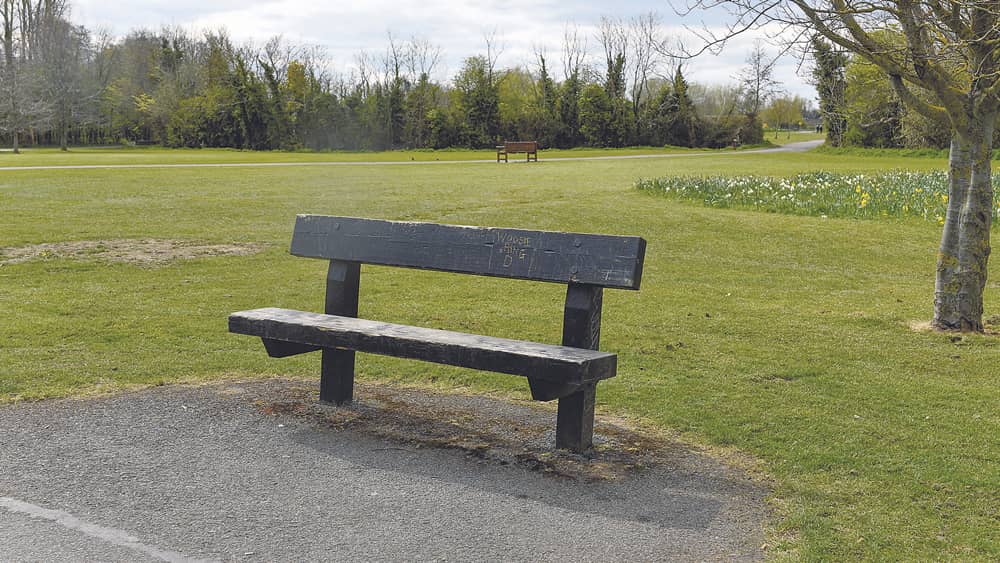 ‘Chatty benches’ set to be introduced with €50,000 budgeted for furniture in parks