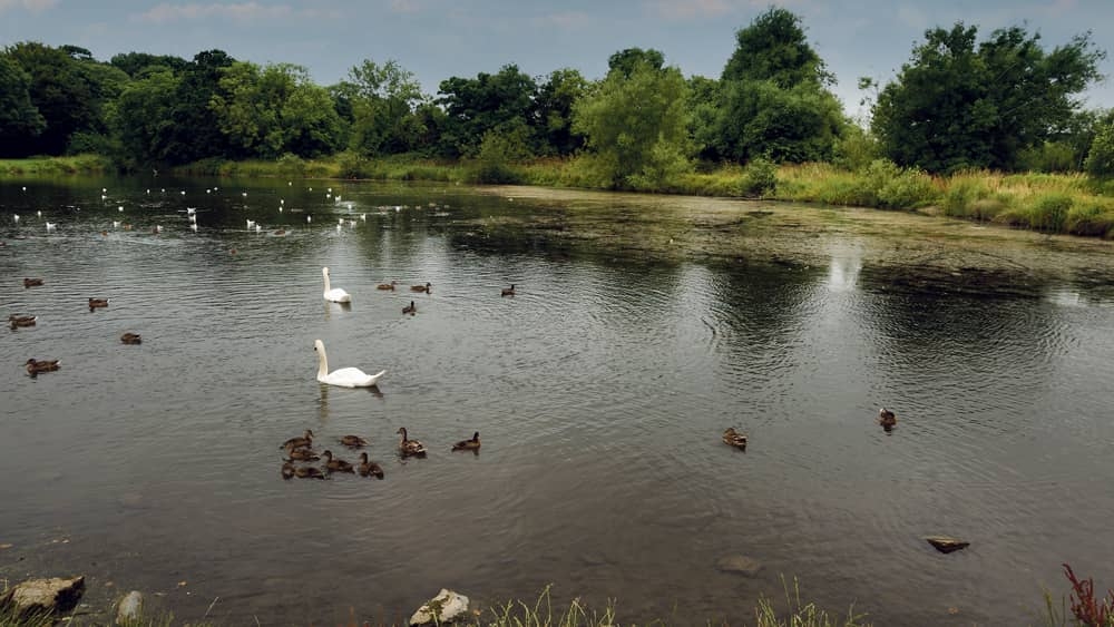 Have you registered? Nearly 2,000 people sign up for local parks and trails challenge