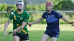 Adult Hurling League Division One & Division Two round-up