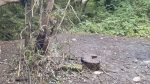 Anti-social behaviour ‘out of control’ in park