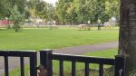 Tragic death of homeless man discovered in park