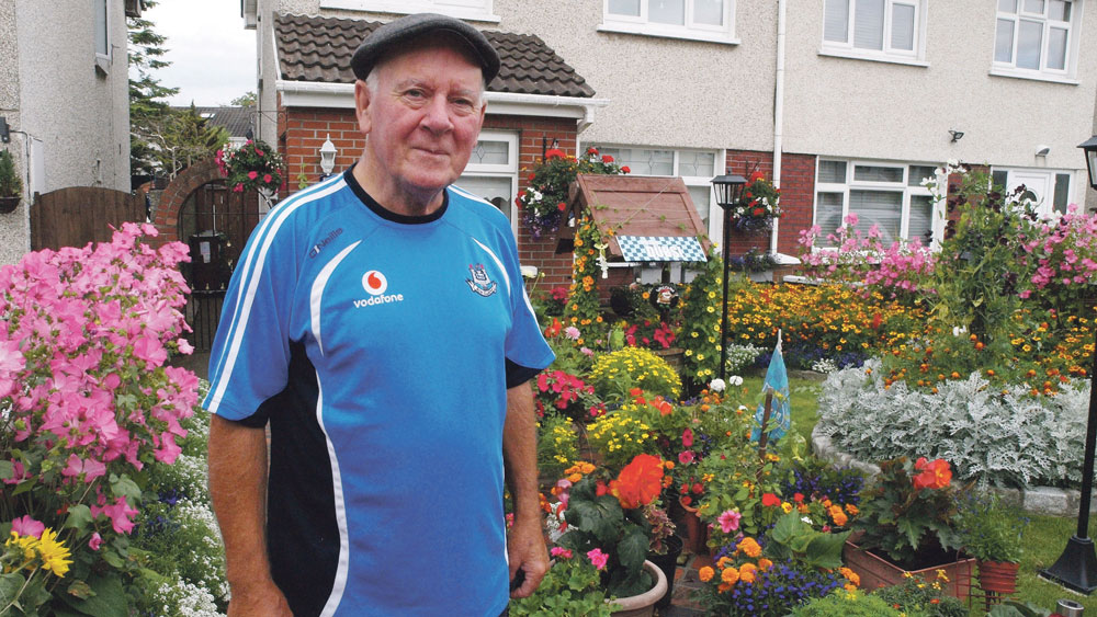 A colourful oasis blooms in the heart of Kilnamanagh A colourful oasis blooms in the heart of Kilnamanagh