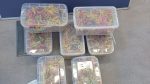 Doctor warns of dangers of cannabis jellies which can lead to seizures or potential coma