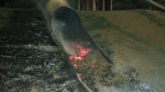 Blaze destroys playground equipment in Corkagh Park