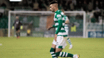 Greene and Mandroiu on target in accomplished victory for Hoops