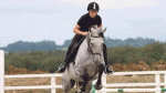 Clondalkin Equine Club to host open day as part of aware week