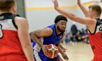 Lions fall just short in Division One, but success for Templeogue and Éanna in Super League