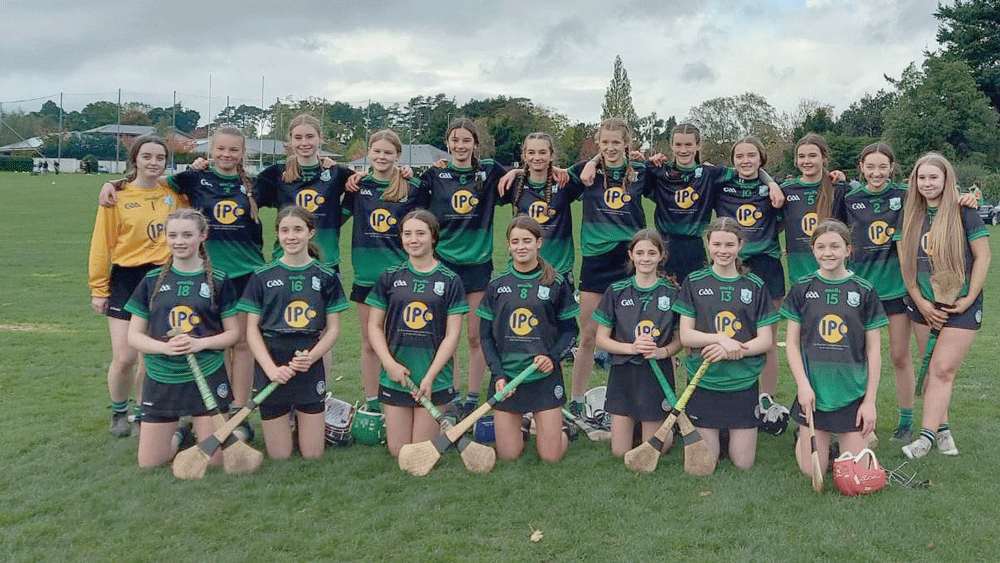 Sarsfields make it a Division One double