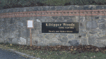 Kiltipper Woods Care Centre extension plans
