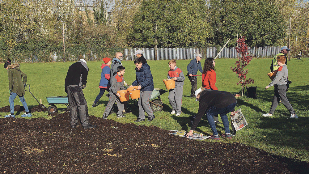 Pupils help prepare for pocket forest in school