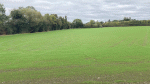 Rugby club ‘mega development’ is moving in the right direction
