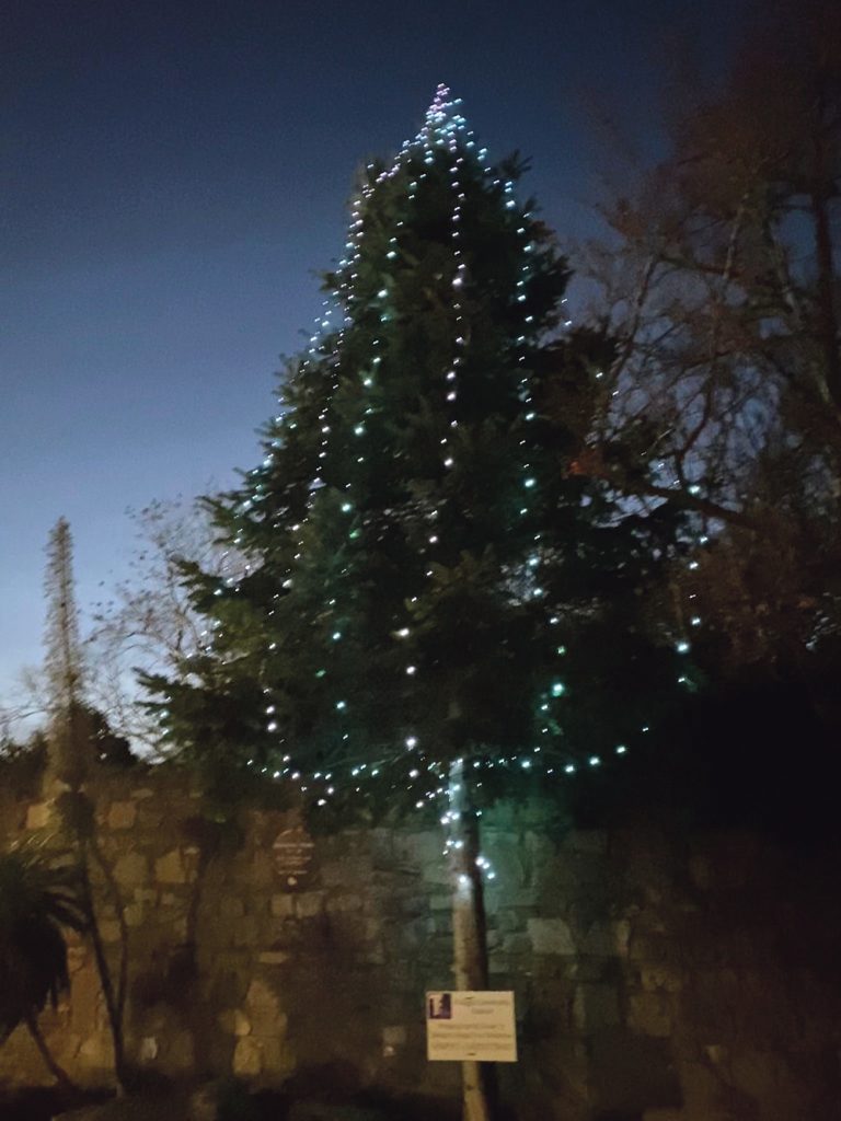 Village Christmas tree lighting ceremony in Tallaght Village Echo.ie
