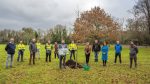 Planting an oak for prosperity and shelter