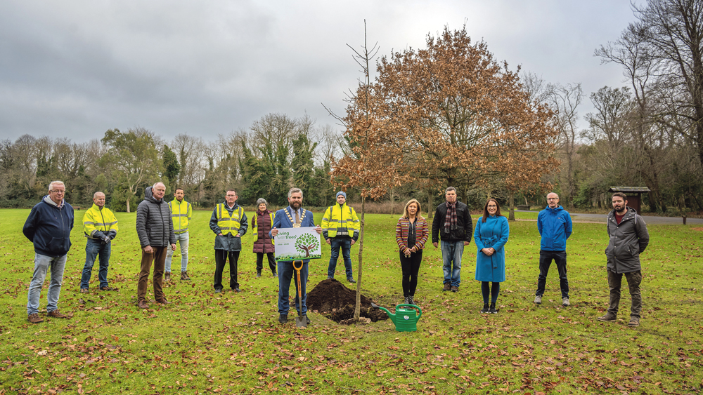 Planting an oak for prosperity and shelter