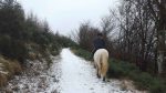 Nature on our Doorsteps: The rhythms of nature
