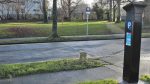 Mixed reactions to new pay and display parking