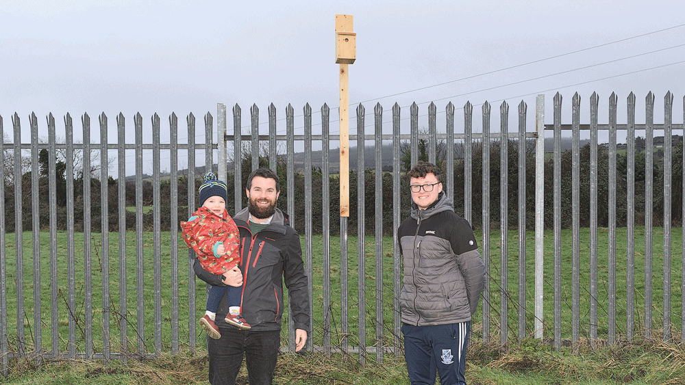 GAA Club’s new bird boxes give something back to the environment