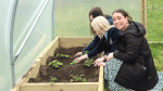 Sustainable project takes root with students in Old Bawn CS