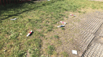 What’s being done to address issues in Sean Walsh Park?