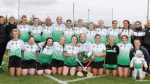 Lucan land early-season silverware after Leinster Camogie League win
