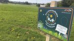 160 acres of park land will be managed as natural meadow