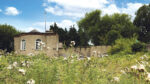Ballyboden Tidy Towns objects to ‘overdevelopment’ of site