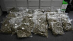 Cannabis worth €700,000 seized by Gardai in Brittas