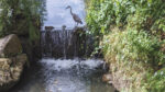 Discarded cans add to pollution of stream