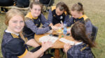 Suburban Picnic festival attracted over 400 people