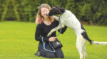 It’s a dog’s life – after Covid