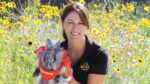 Huge surge in small pets surrendered to DSPCA