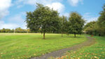 Man attempted to strangle woman out walking in park