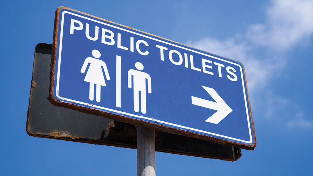 Council could flush money down the toilet with loo plan