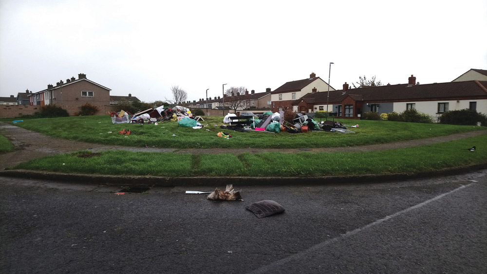 Estate ‘left to wrack and ruin’ with dead gulls found in area