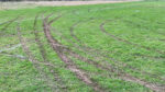 Railings will help stop stolen cars wrecking Tymon Park