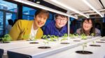 STEM fair programme launched